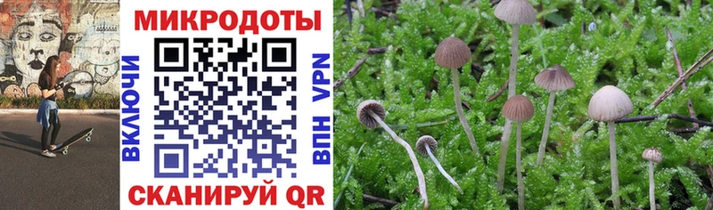 Галлюциногенные грибы прущие грибы  Малгобек 